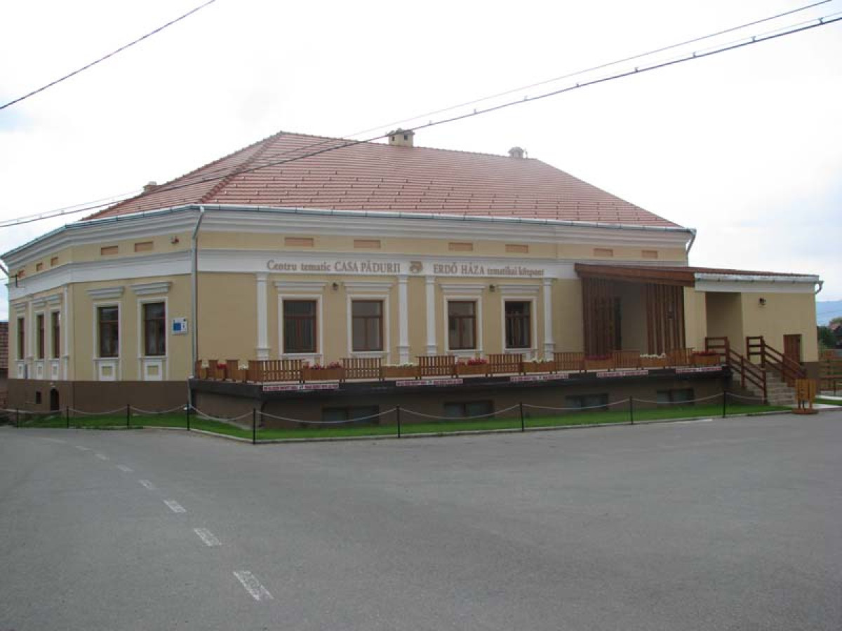 Thematic Center of Forest House